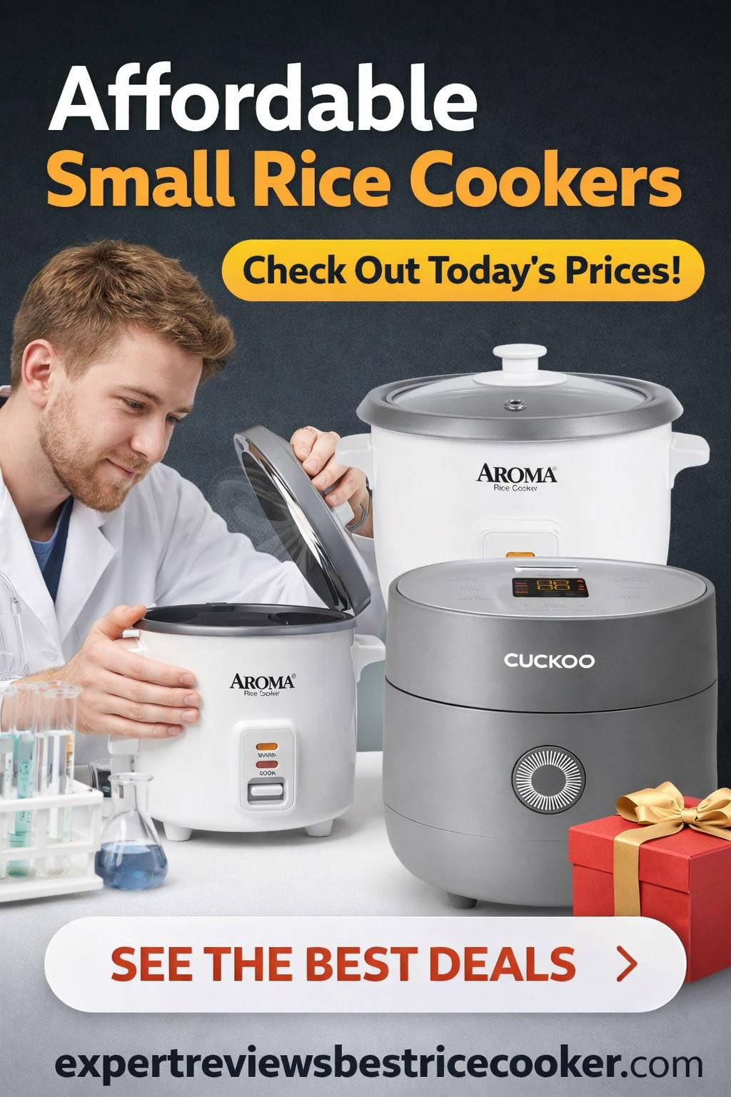Small Rice Cooker