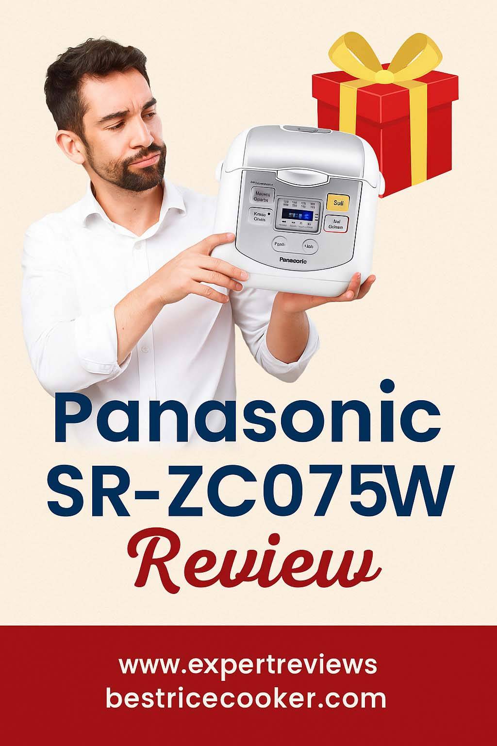 Panasonic SR-ZC075W Review