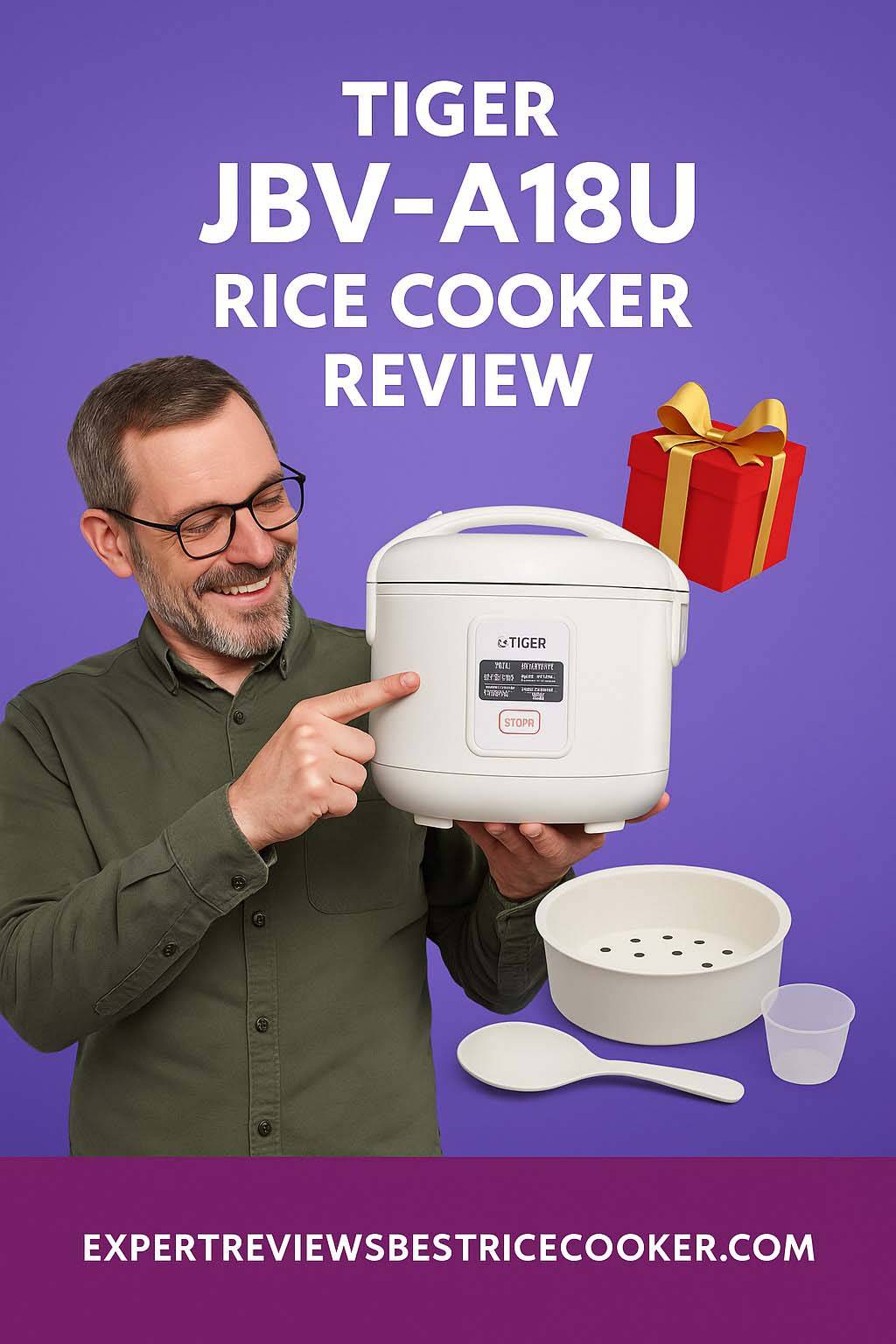 Tiger JBV A18U Rice Cooker Review 1