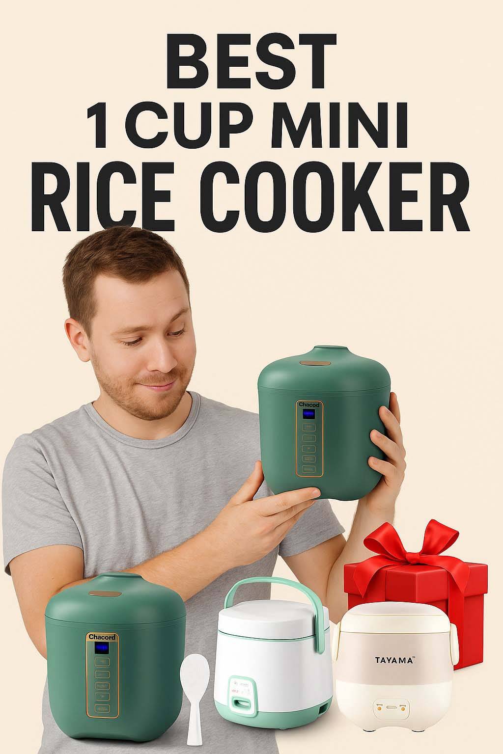1 cup rice cooker mini