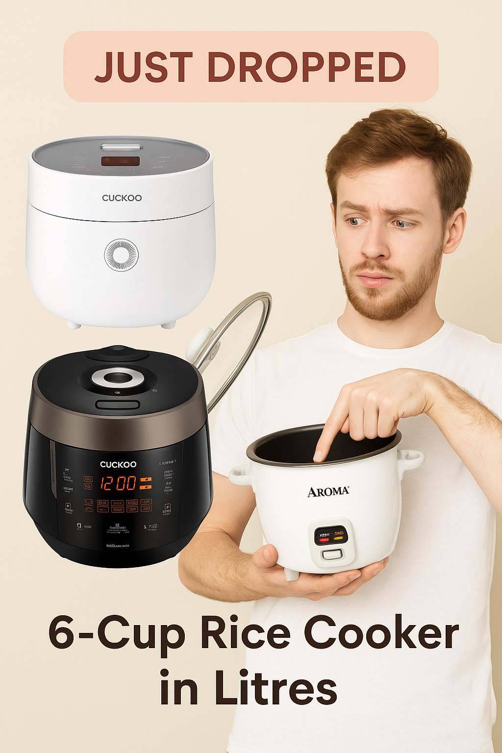 6-cup rice cooker in litres