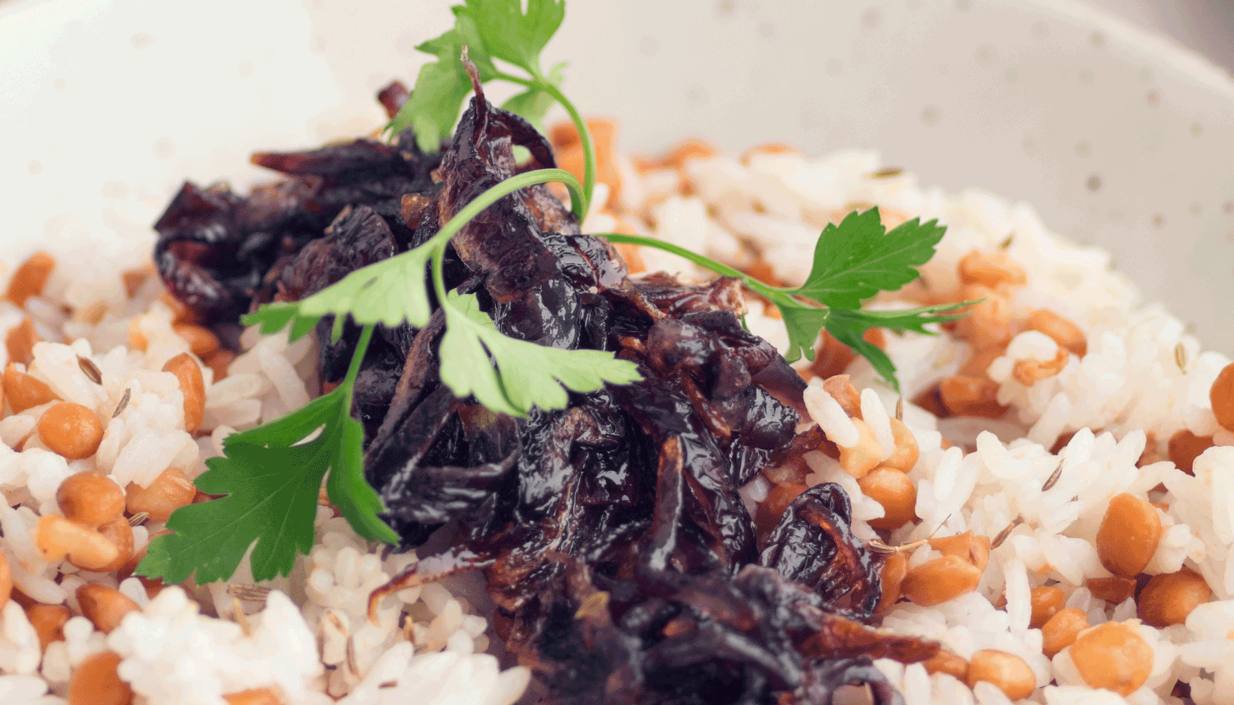 mujaddara recipes