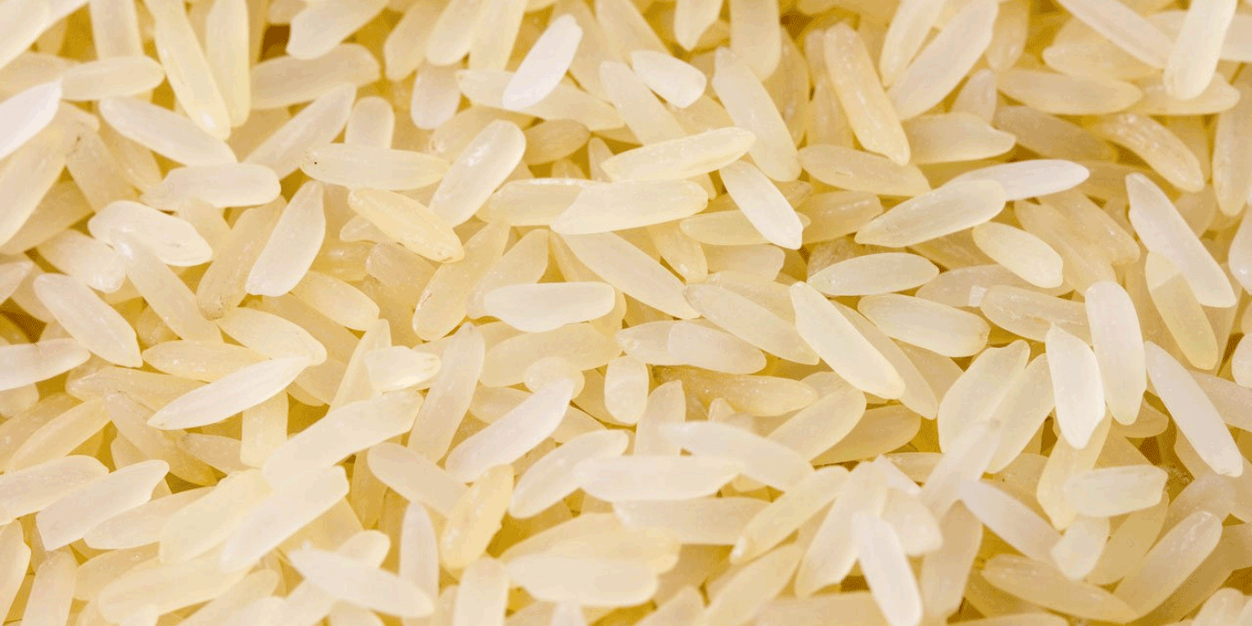 Tamaki Gold Rice Review A Taste Of Japanese Perfection