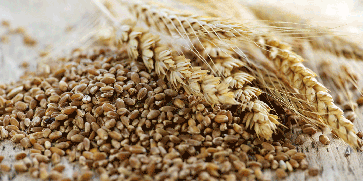 whole grain