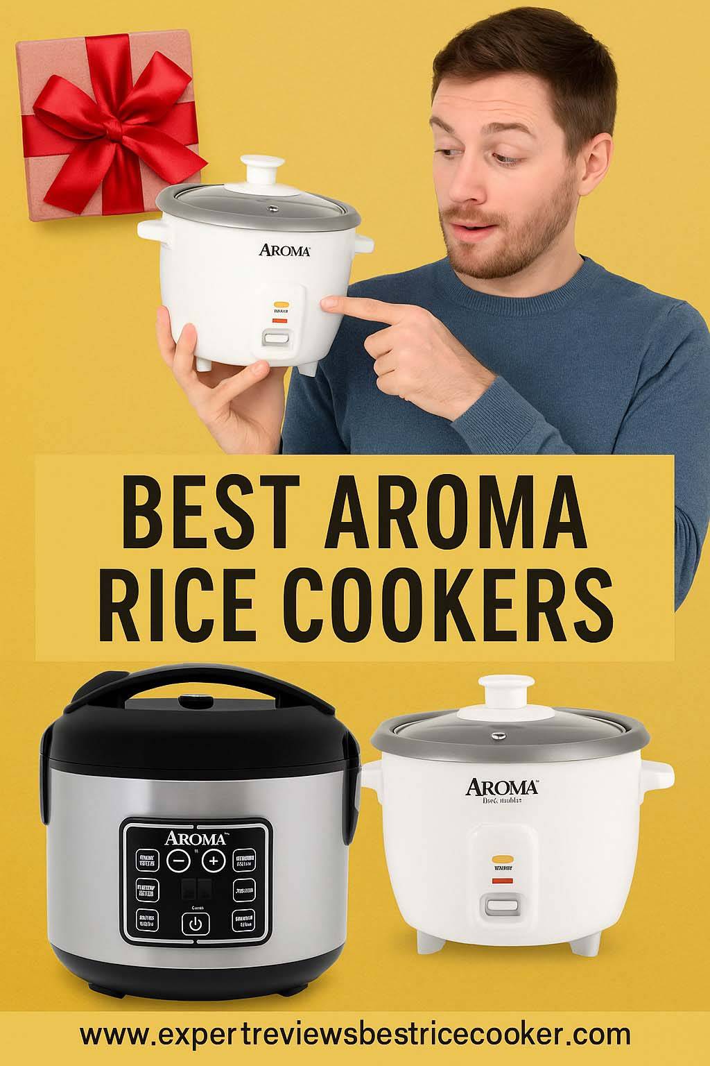 best Aroma rice cookers