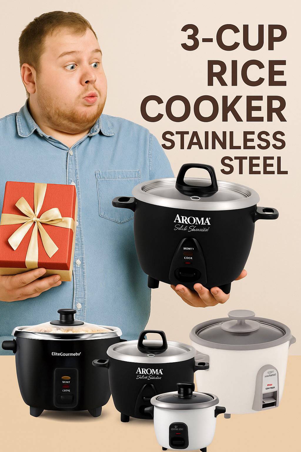 3-cup rice cooker stainless steel