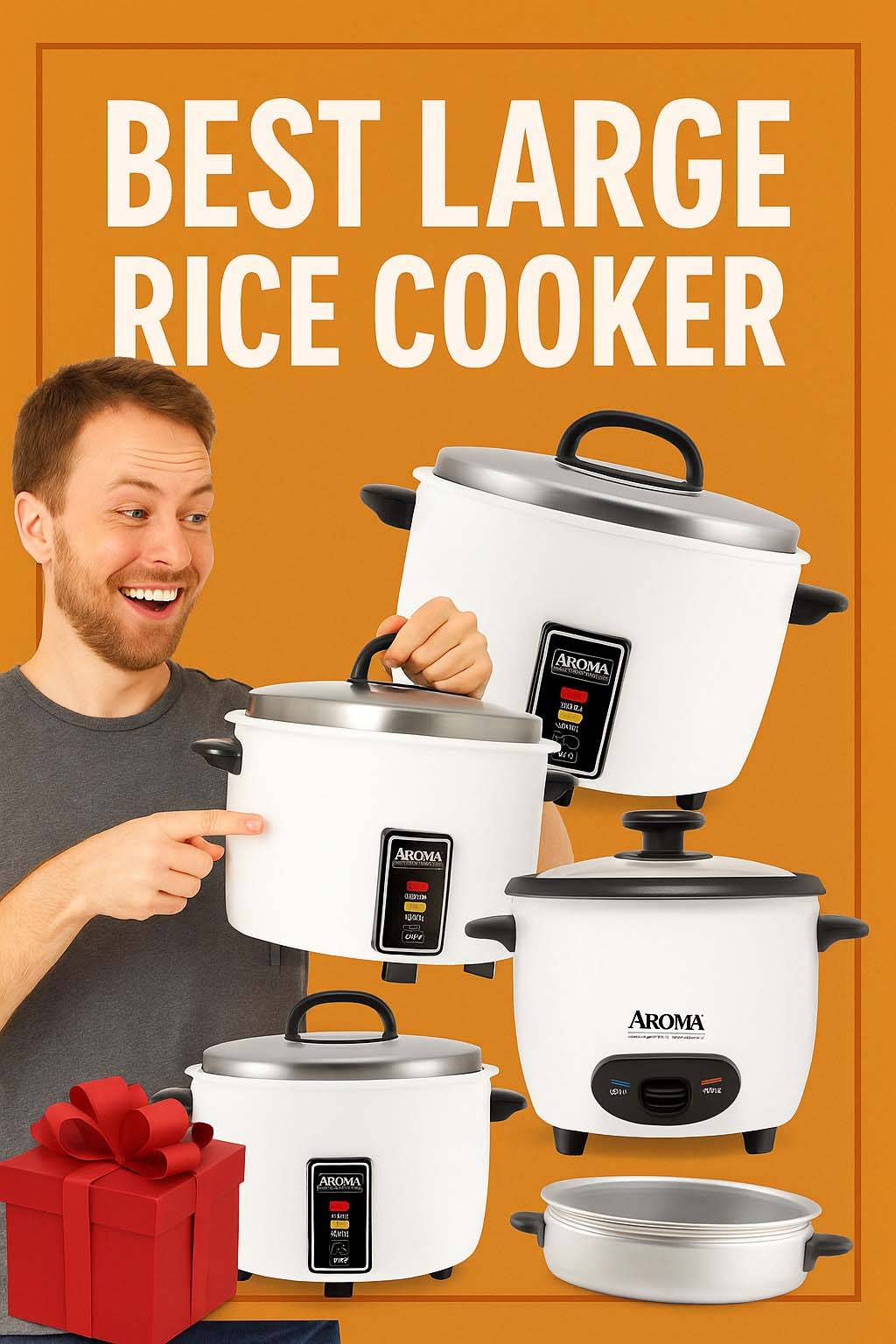 best rice cooker large