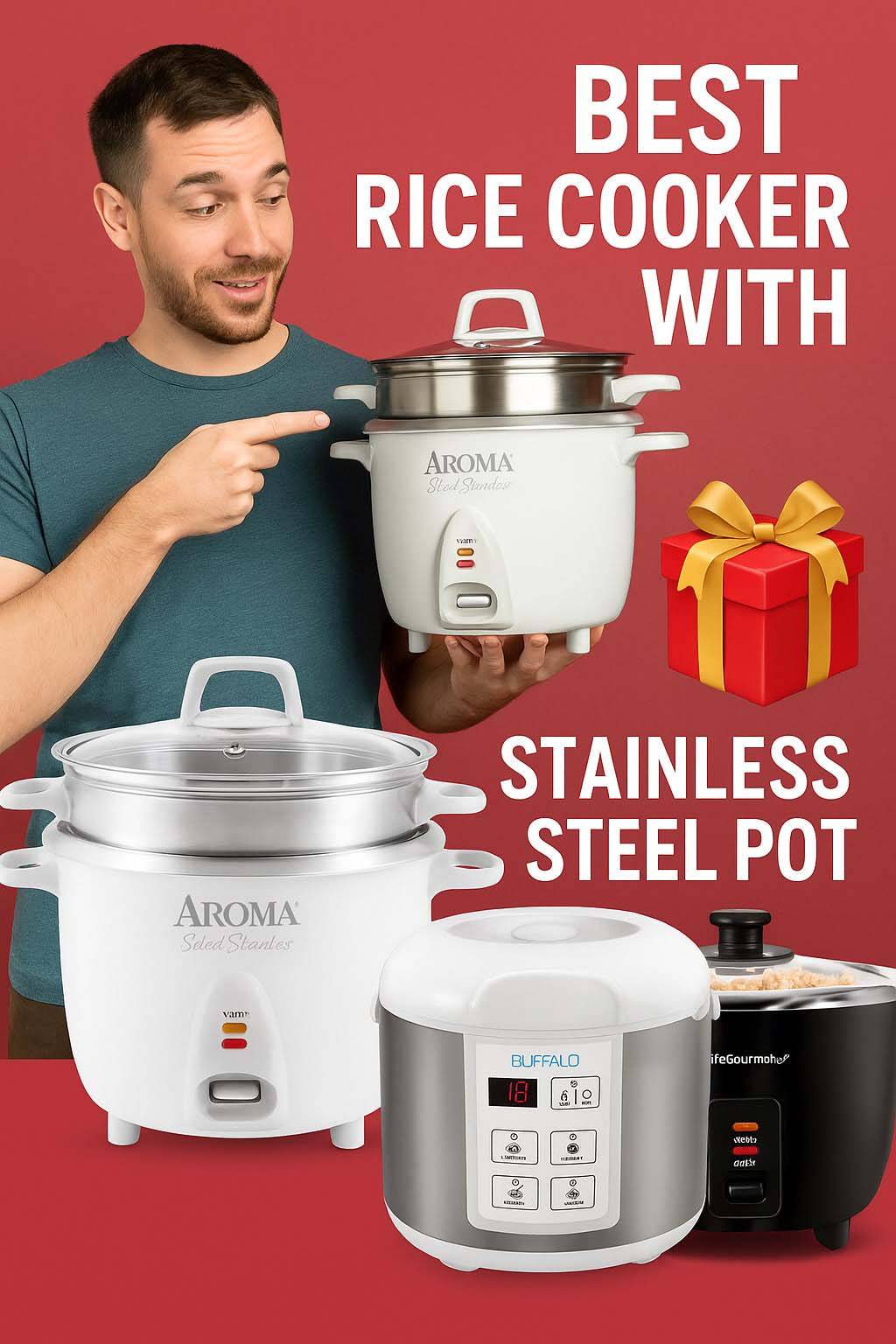 best rice cooker with stainless steel pot