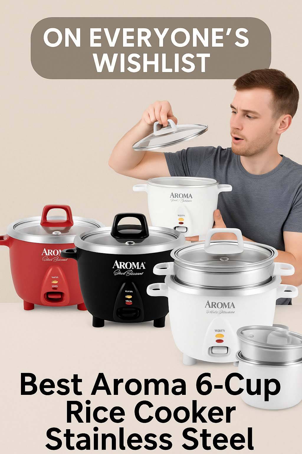 aroma 6-cup rice cooker stainless steel